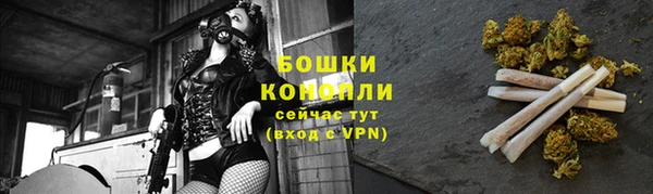 spice Вязьма