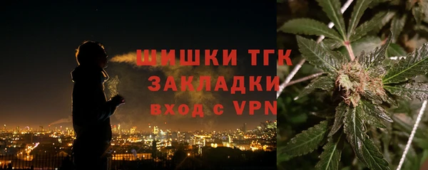 ГАЛЛЮЦИНОГЕННЫЕ ГРИБЫ Вязники