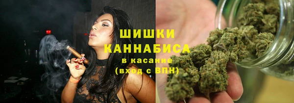 хмурый Вяземский