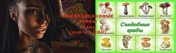 хмурый Вяземский