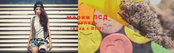 ГАЛЛЮЦИНОГЕННЫЕ ГРИБЫ Вязники