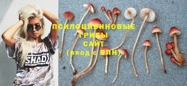 хмурый Вяземский
