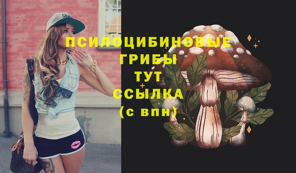 марки lsd Горняк