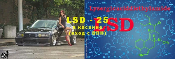 ГАЛЛЮЦИНОГЕННЫЕ ГРИБЫ Вязники
