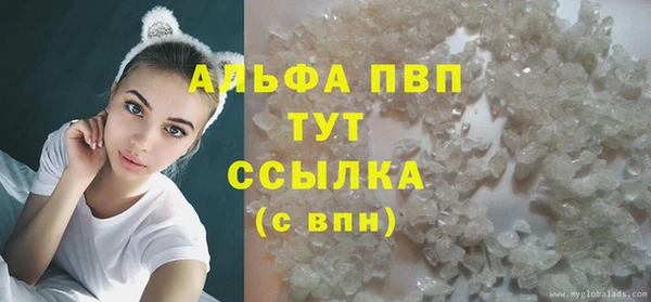 spice Вязьма