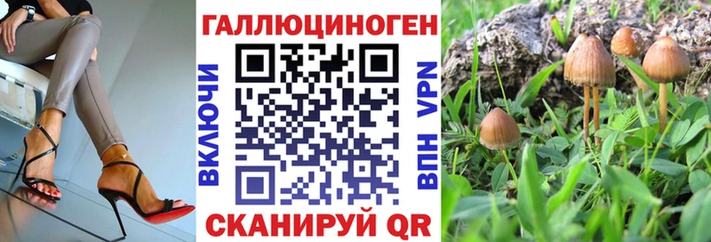 Галлюциногенные грибы мухоморы  Купить закладки  Гусиноозёрск 